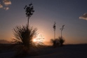 22_White Sands National Monument_12